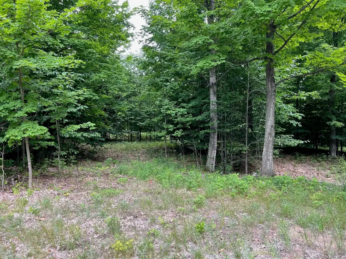 11 W Timber View, Empire, MI 49630 - #1