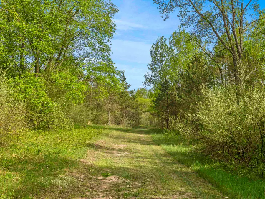 0 Dzuibanek, Thompsonville, MI 49683 - #3