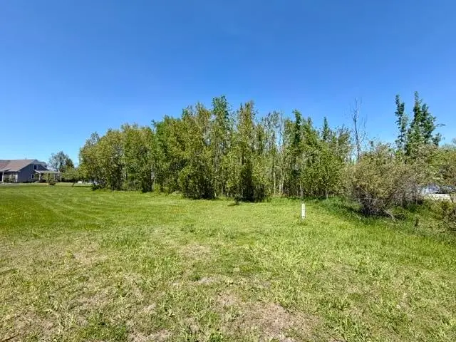 V/L Paradise, Levering, MI 49755 - #3