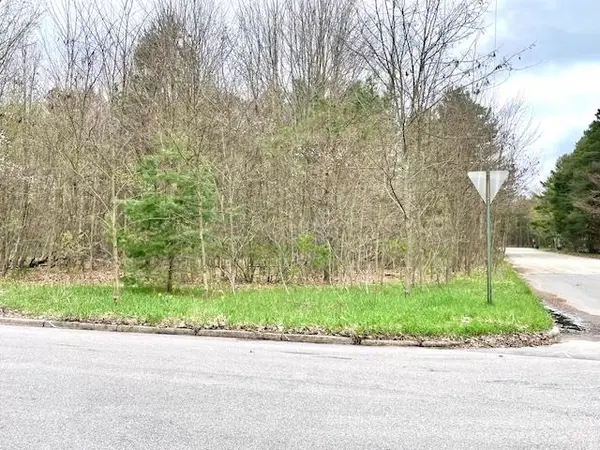 00 Brook AVE, Kaleva, MI 49645