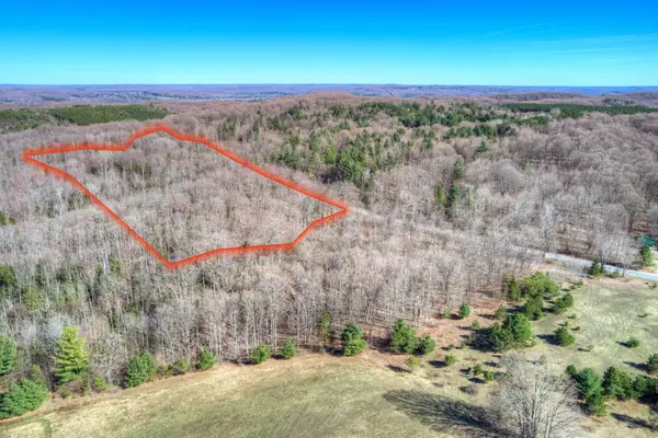 Parcel C Honey Hollow RD, Bellaire, MI 49615