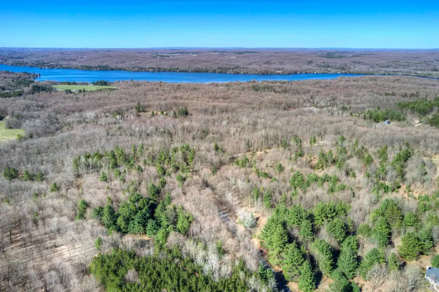 Parcel D Orchard Hill, Bellaire, MI 49615 - #2