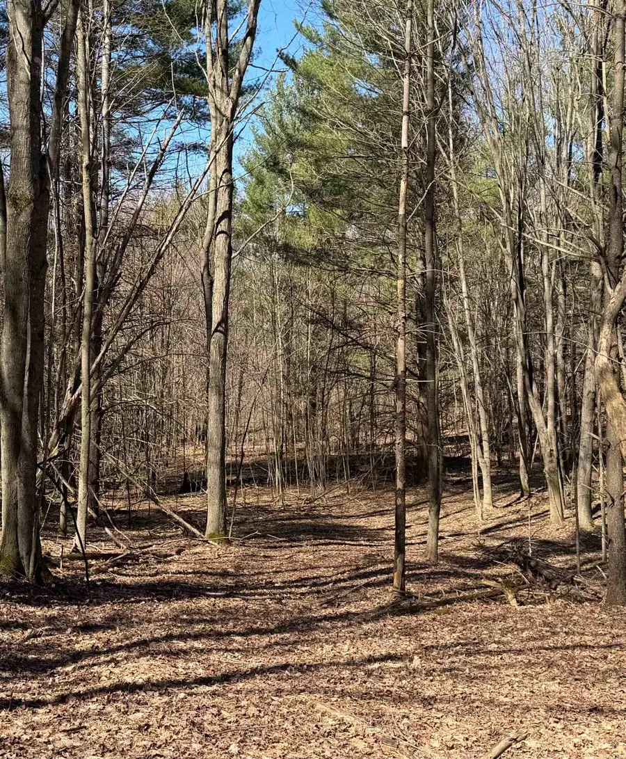 Parcel E Orchard Hill, Bellaire, MI 49615 - #3