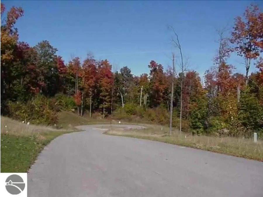VL #5 Timber Valley CT, Kewadin, MI 49648 - #3
