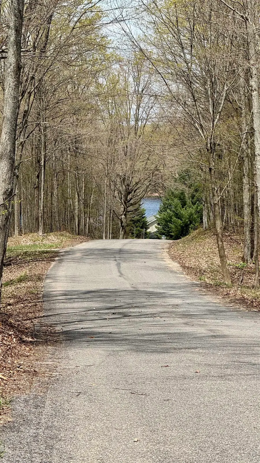 Parcel F Dayhuf 27 Mile, Boon, MI 49618 - #2