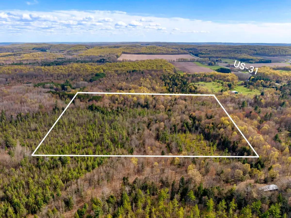 00 Benzie HWY, Benzonia, MI 49616 - #1