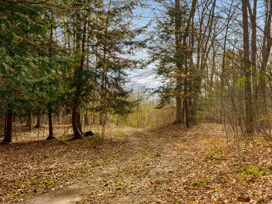 00 Benzie HWY, Benzonia, MI 49616 - #2