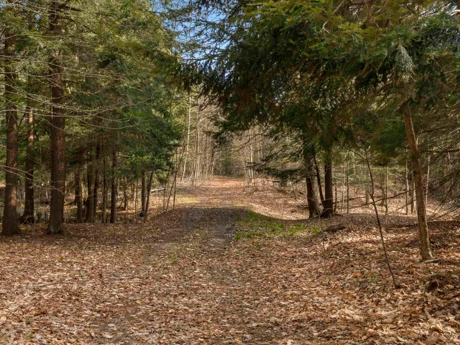 00 Benzie HWY, Benzonia, MI 49616 - #3