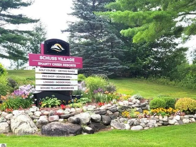 Lot 29 Off Heideldorf, Bellaire, MI 49615 - #3