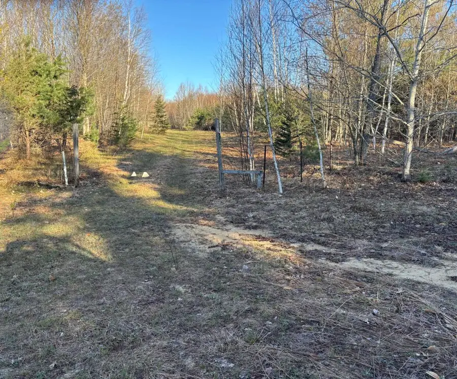 00 Forward, Forest, MI 49651 - #2