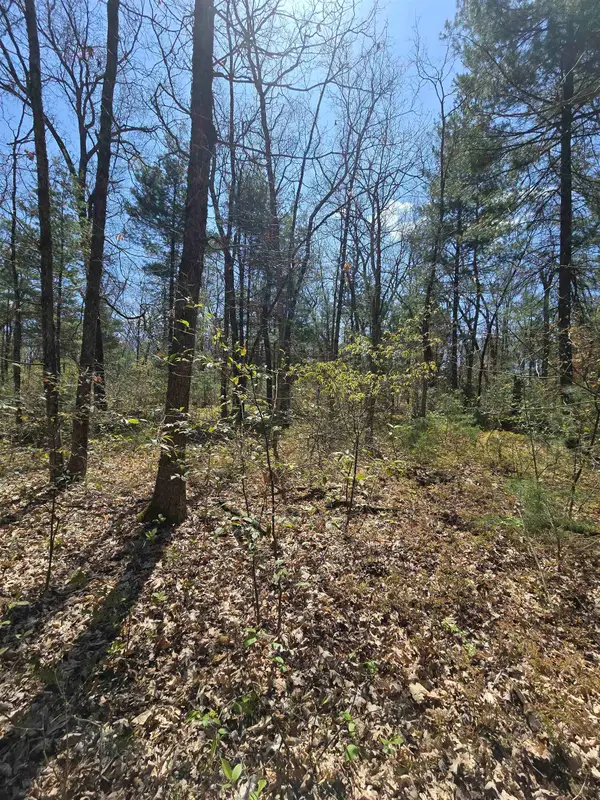 TBD S Locust, WhiteCloud, MI 49349