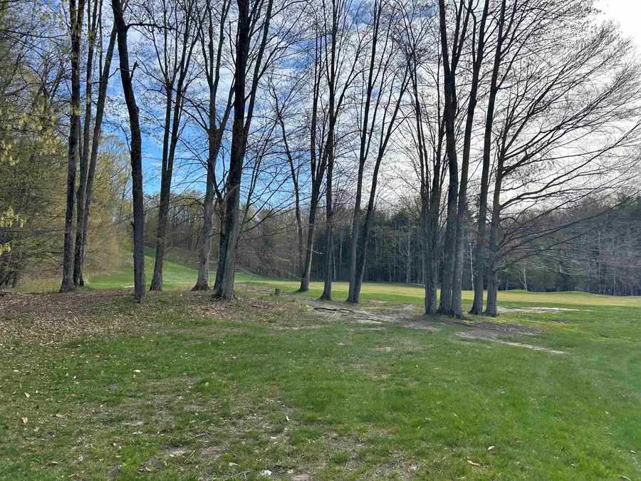 Lot 69 Legend, Bellaire, MI 49615 - #3