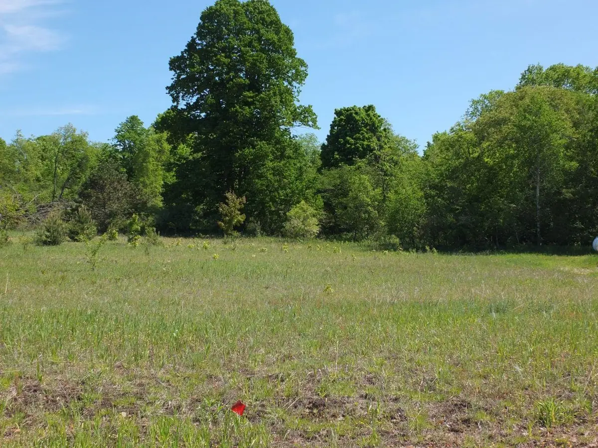 Lot 10 Kingsfield, Kingsley, MI 49649 - #1