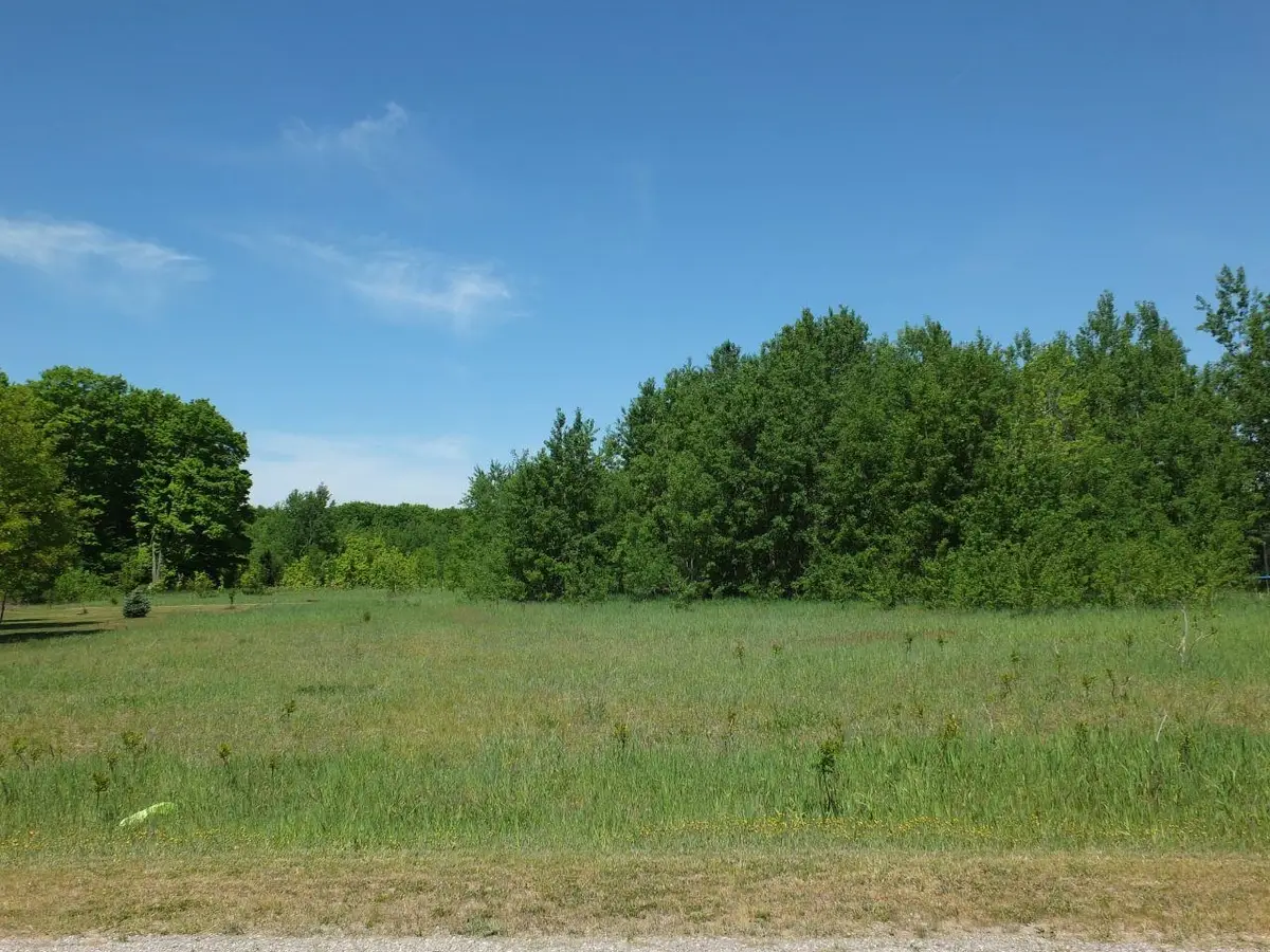 9441 Kingsfield, Kingsley, MI 49649 - #1