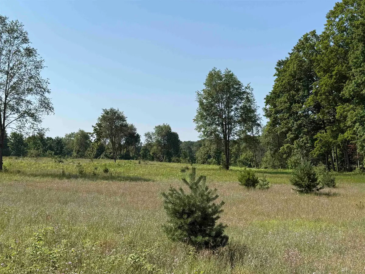 Parcel A 6 S Bright, Kasson, MI 49664 - #1