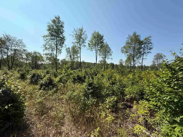 Parcel A 3 E Kasson, MapleCity, MI 49664