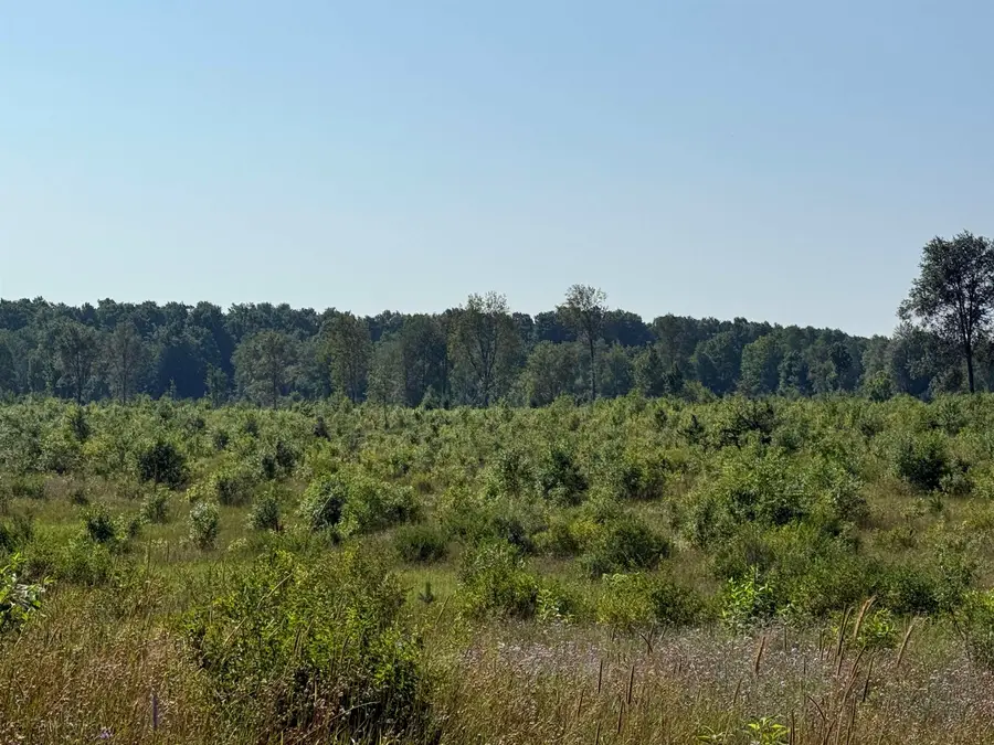 Parcel A 1 E Kasson, Kasson, MI 49664 - #3