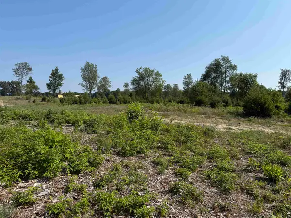 Parcel A 8 S Bright, MapleCity, MI 49664