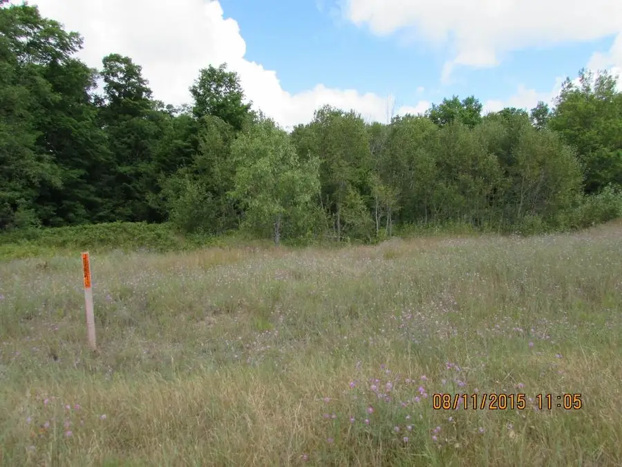 501 Grouse, Kalkaska, MI 49646 - #3