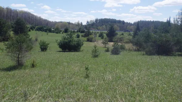 39 RD, Cadillac, MI 49601