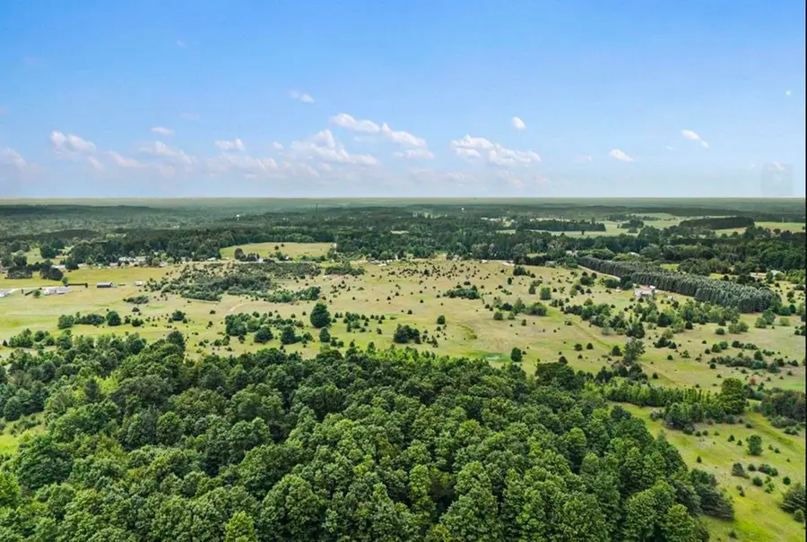 Lot N E Sparling, Kingsley, MI 49649 - #3
