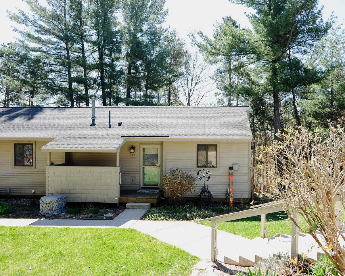 11255 E Fort, Bingham, MI 49682 - #1