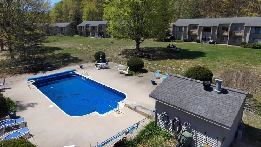 11255 E Fort, Bingham, MI 49682 - #3