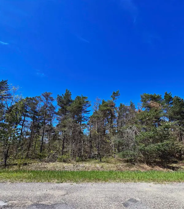 253 Country Club DR, Mancelona, MI 49659