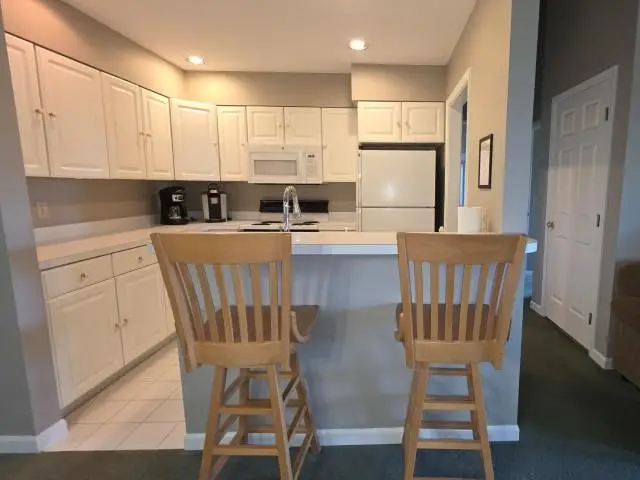 5666 Shanty Creek, Bellaire, MI 49615 - #3
