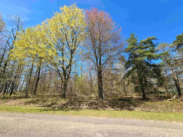 235 Country Club, Mancelona, MI 49569