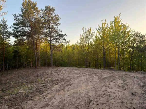3779 Scholl RD, Mancelona, MI 49659
