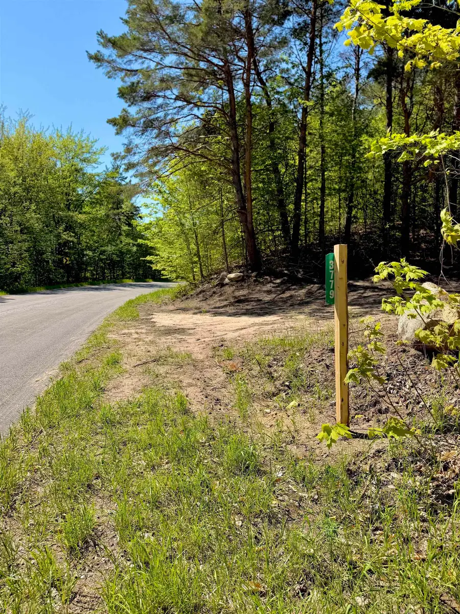 3779 Scholl RD, Mancelona, MI 49659 - #2