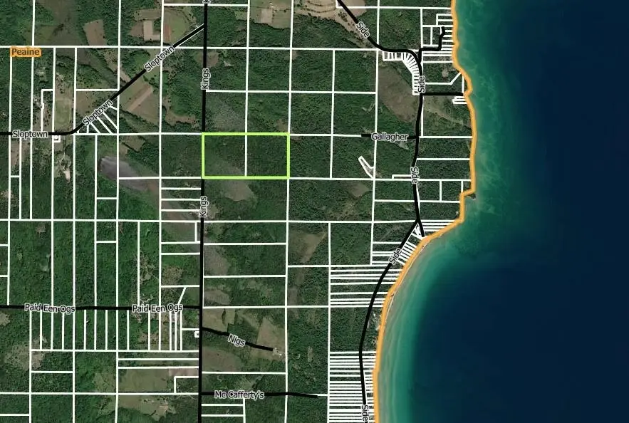 Kings, Beaverisland, MI 49782 - #2
