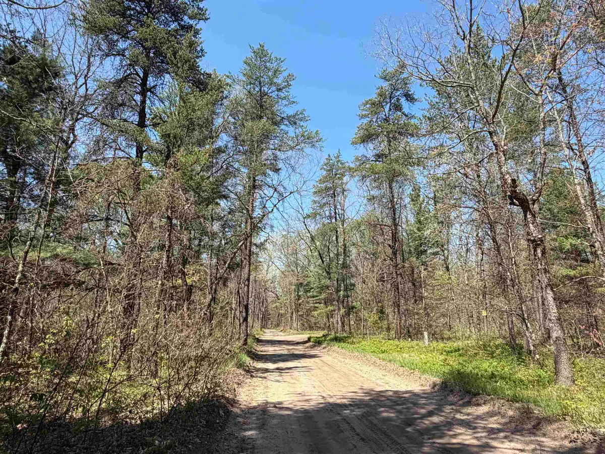 E Gladys LN, Idlewild, MI 49642 - #1