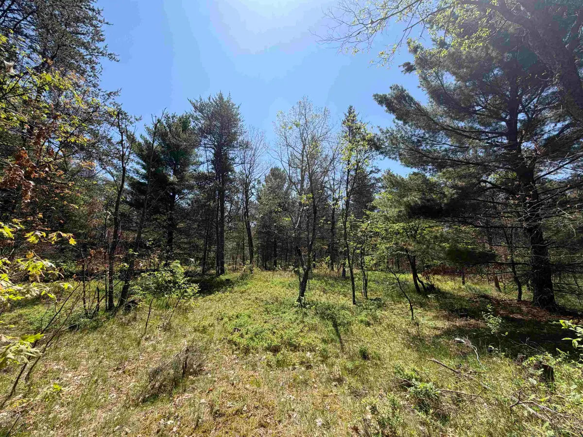 US-10, Idlewild, MI 49642 - #1