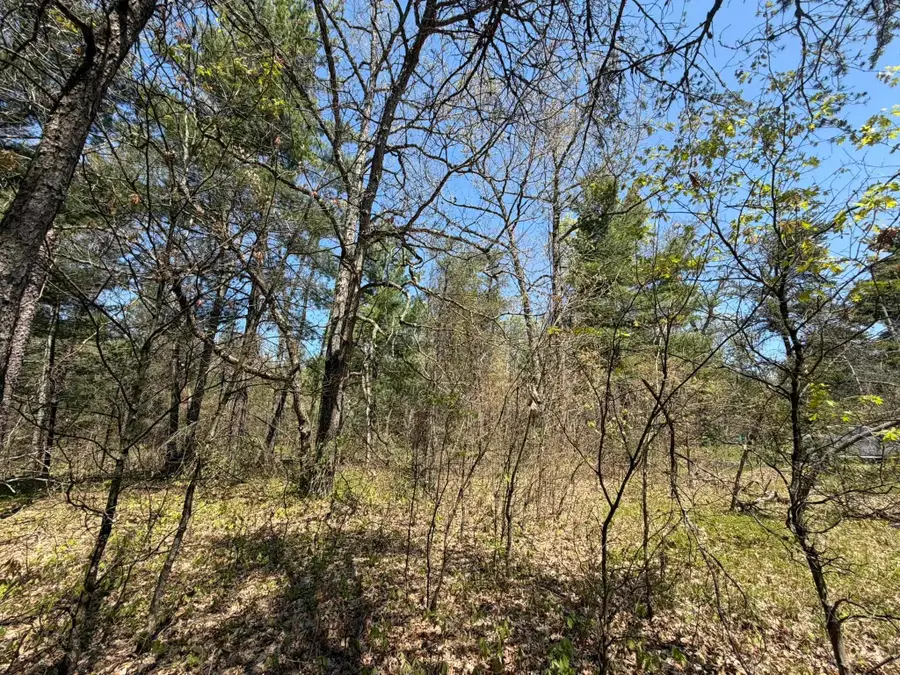V/L US-10, Idlewild, MI 49642 - #3