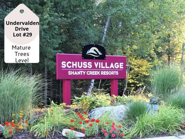 29 Undervalden, Bellaire, MI 49615