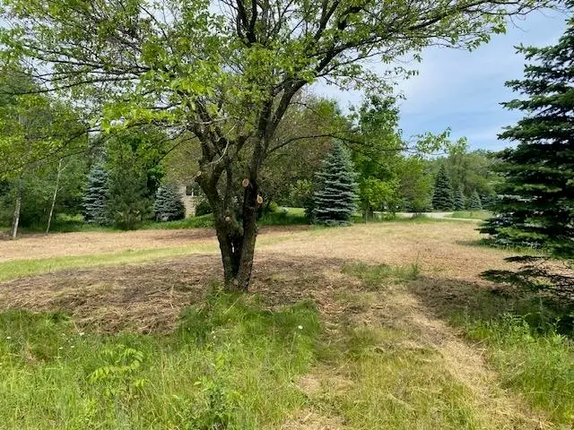 #4 Lyns, Williamsburg, MI 49690 - #1