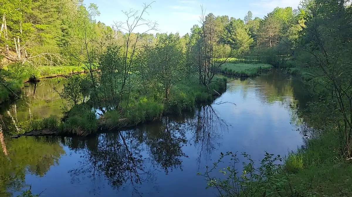 Parcel 3 Sumac, Grayling, MI 49738 - #1