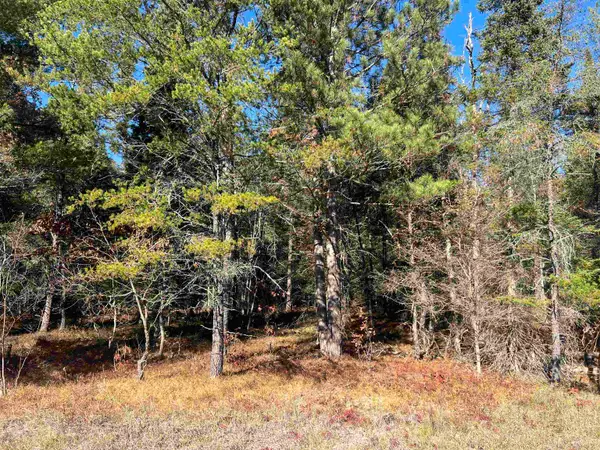 00 E North Down River, Grayling, MI 49738