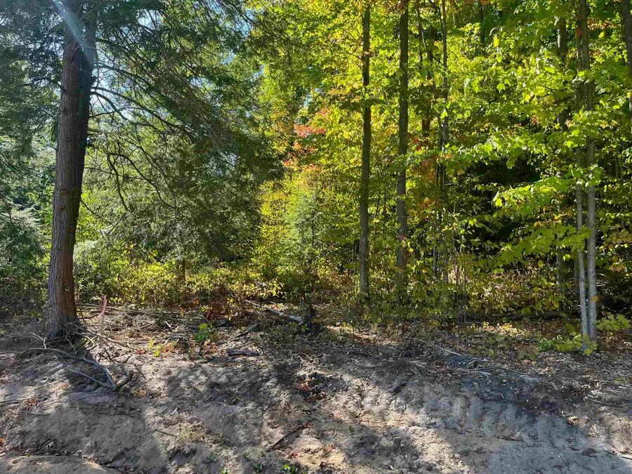 4735 Leaning Birch, Long Lake, MI 49685 - #3