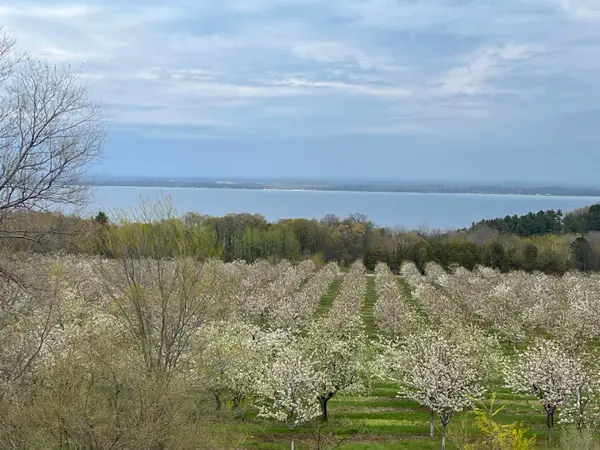 12586 Center, TraverseCity, MI 49686