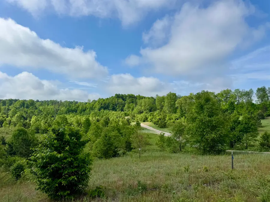A5 & A9 Kasson RD, Kasson, MI 49664 - #2