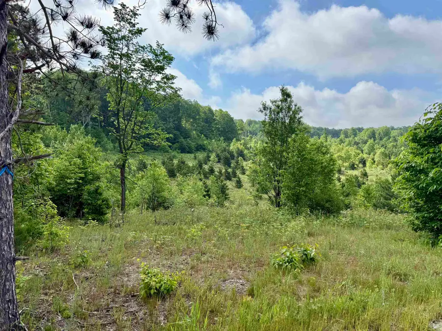A5 & A9 Kasson RD, Kasson, MI 49664 - #3