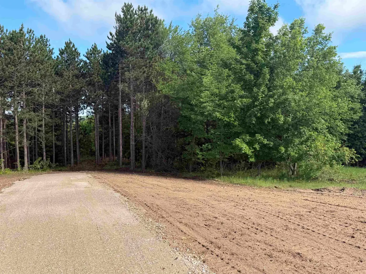 Parcel 5 Karnes, Empire, MI 49636 - #1