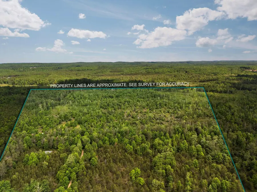 4011 W Forest RD, Forest, MI 49651 - #2