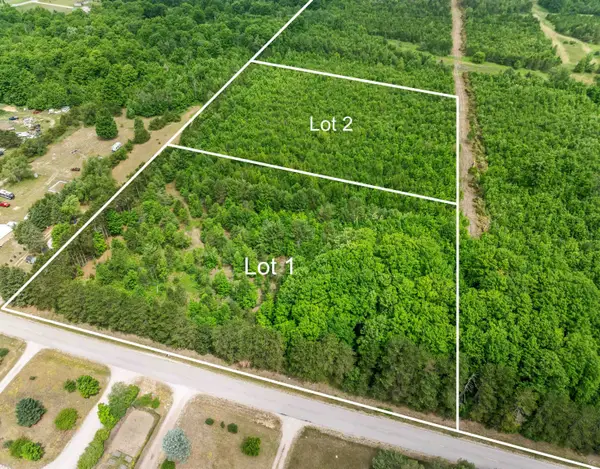 Parcel 1 Maple, Benzonia, MI 49616