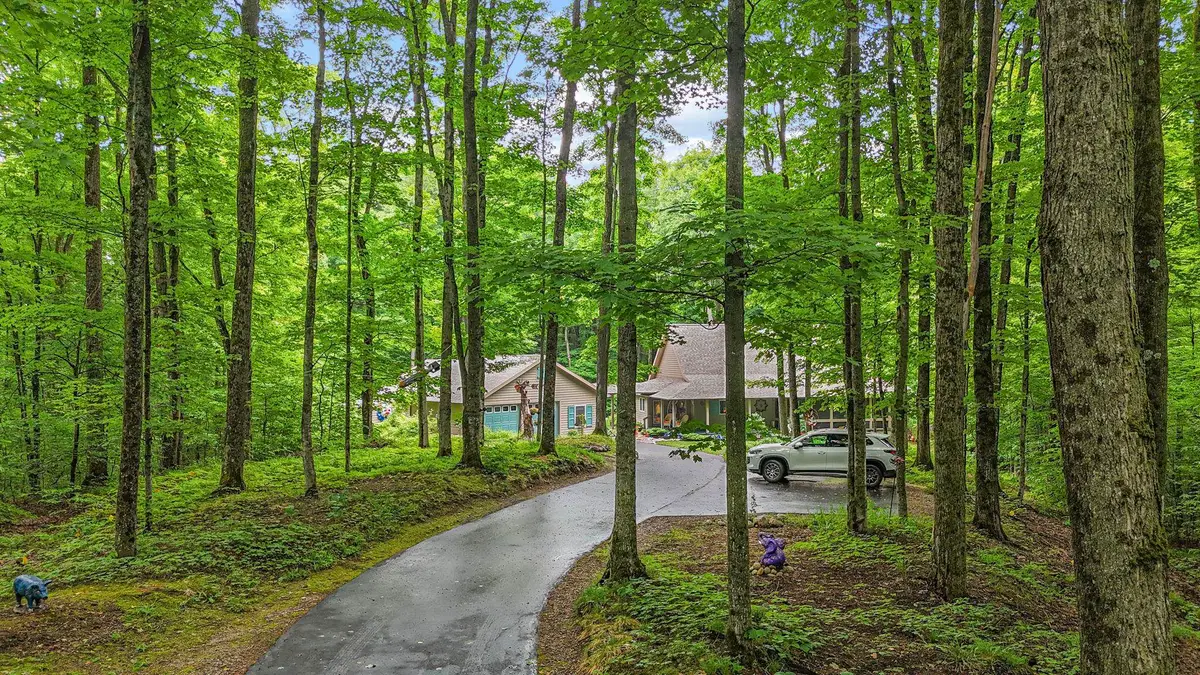 5610 Woodland, Bellaire, MI 49615 - #1