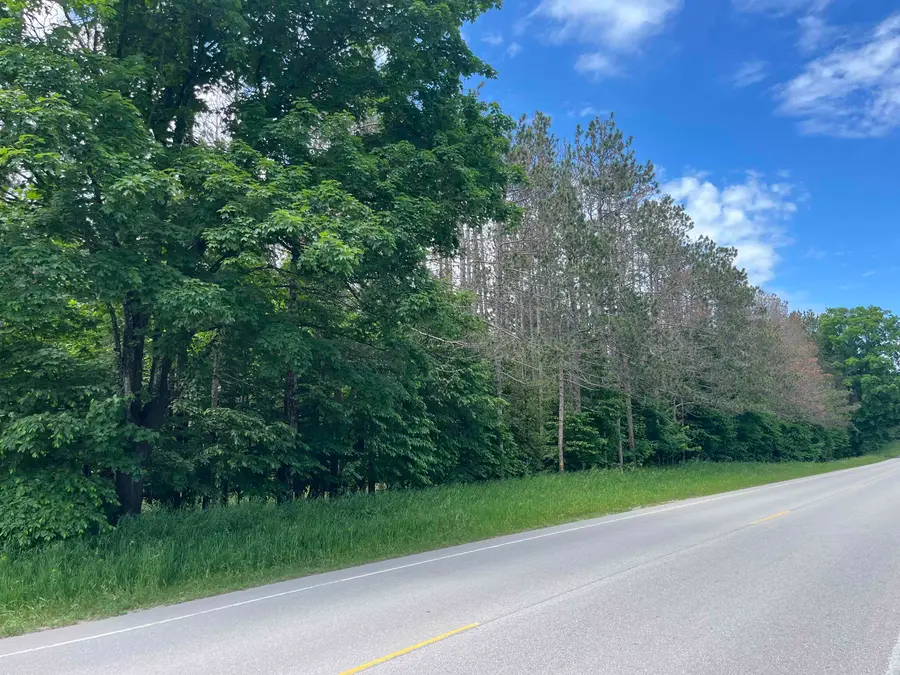 Parcel C Maple City, Almira, MI 49650 - #2
