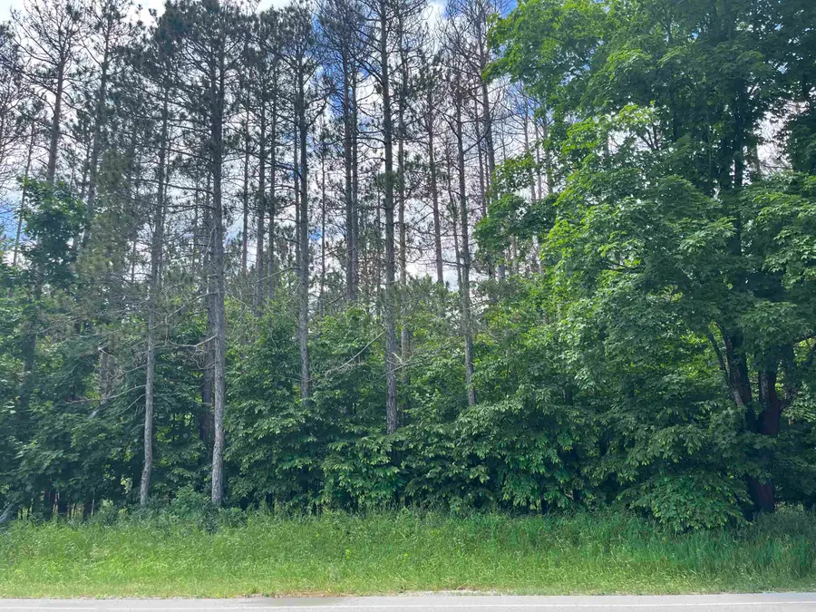 Parcel C Maple City, Almira, MI 49650 - #3